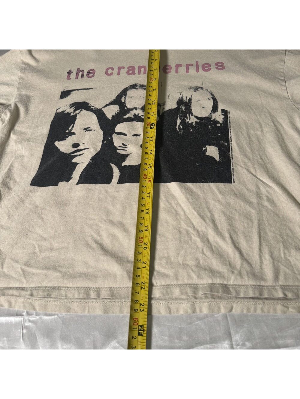 H&M Divided The Cranberries Crop Top Tee Cream XS - Picture 8 of 8
